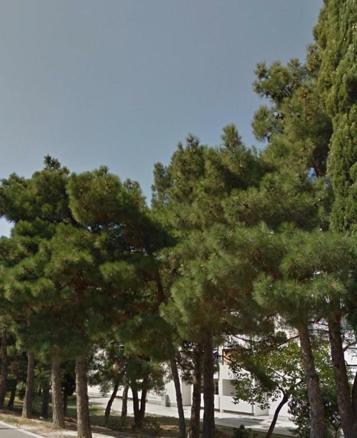 Mileva Διαμέρισμα Σπλιτ Εξωτερικό φωτογραφία